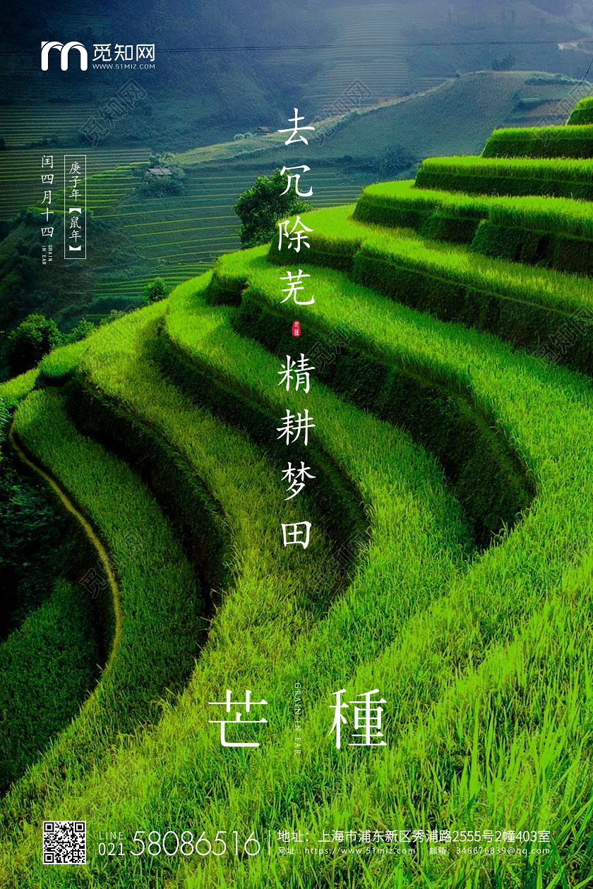 绿色简约实拍芒种节气二十四节气企业宣传海报