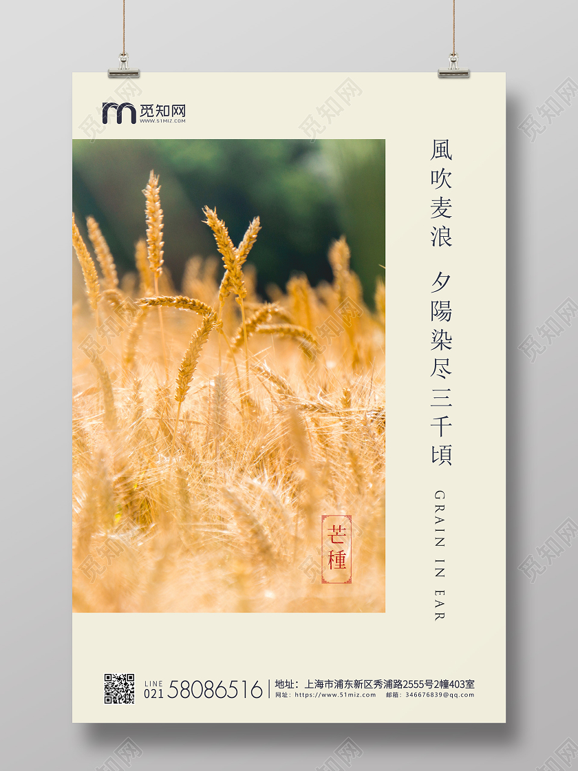 黄色简约实拍芒种节气二十四节气企业宣传海报