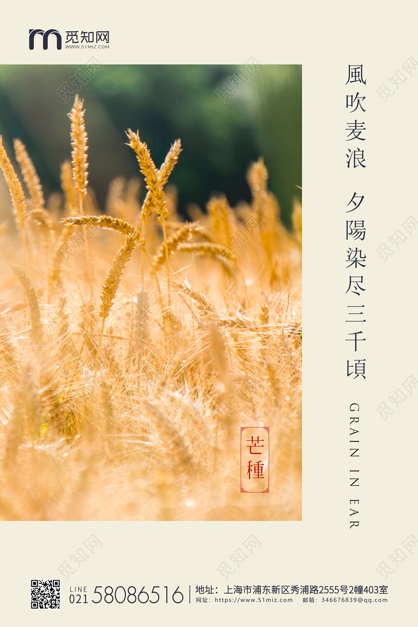 黄色简约实拍芒种节气二十四节气企业宣传海报