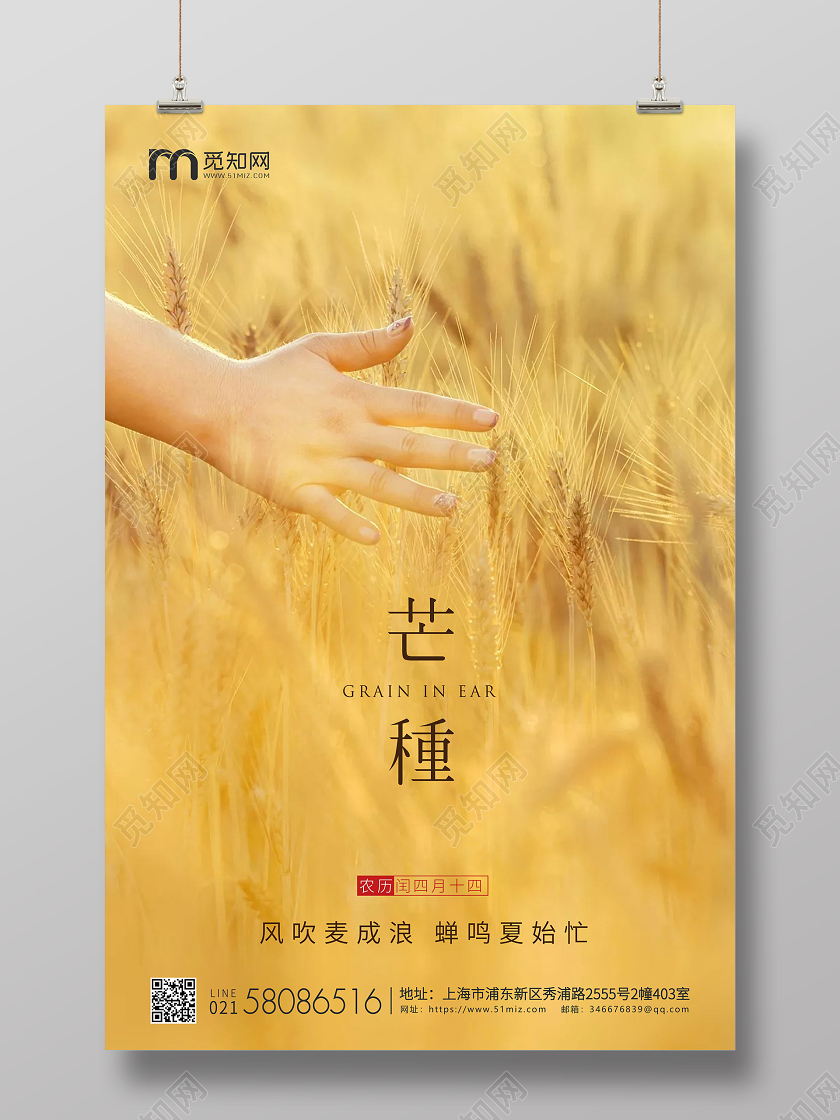 黄色简约实拍芒种节气二十四节气企业宣传海报