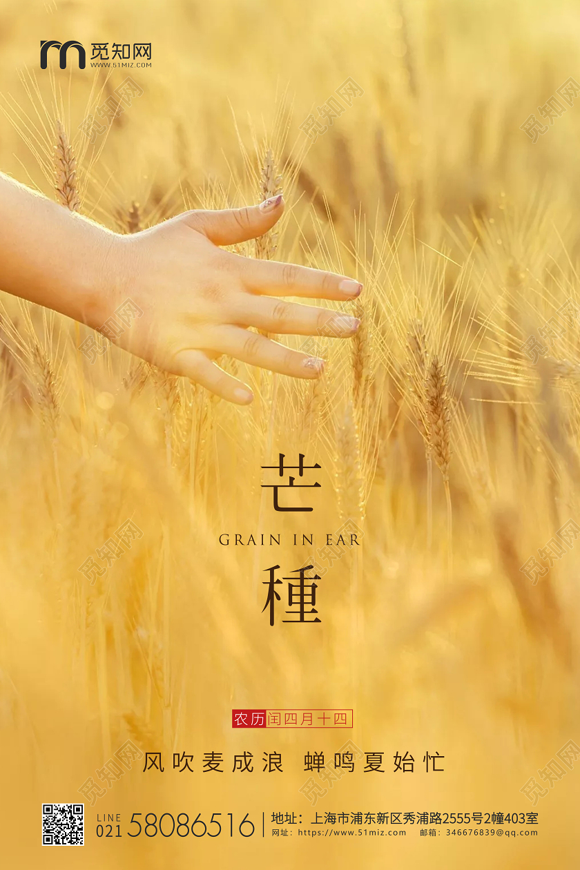 黄色简约实拍芒种节气二十四节气企业宣传海报