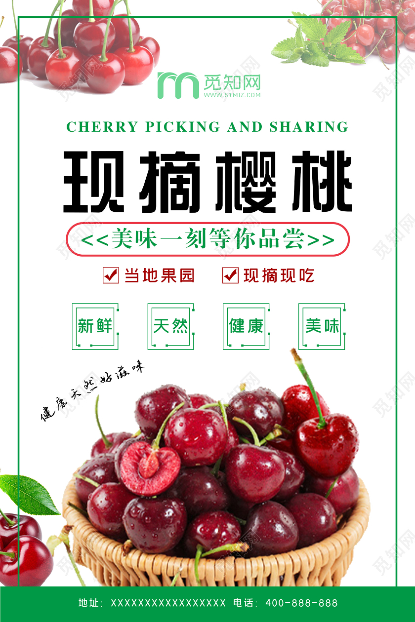 白色简洁现摘樱桃水果促销海报水果采摘