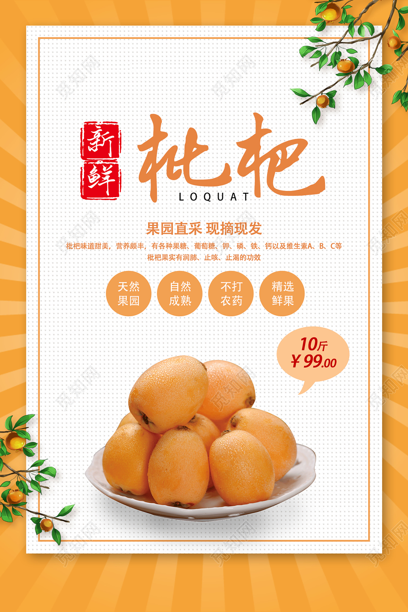 暖黄色简约新鲜枇杷水果枇杷宣传海报