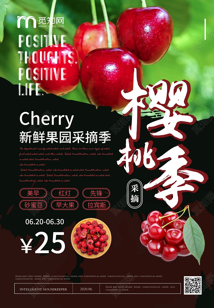黑色水果樱桃樱桃季宣传海报