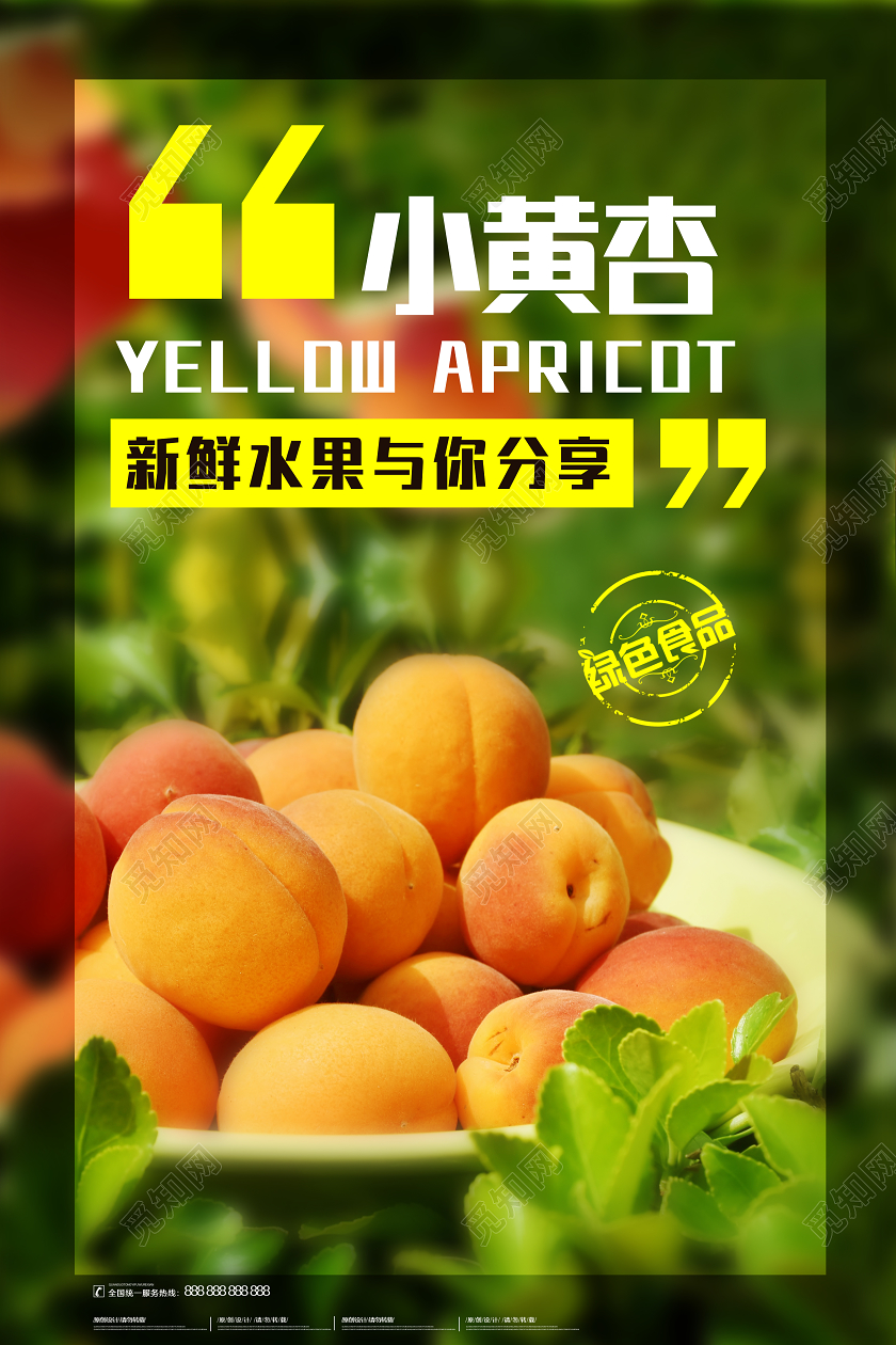 简约大气生鲜新鲜水果小黄杏宣传海报生鲜新鲜水果杏
