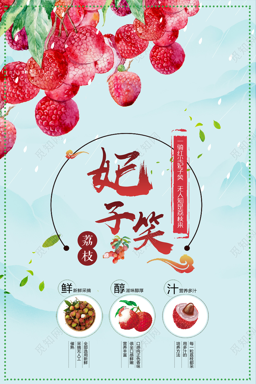 浅色插画妃子笑荔枝海报水果荔枝