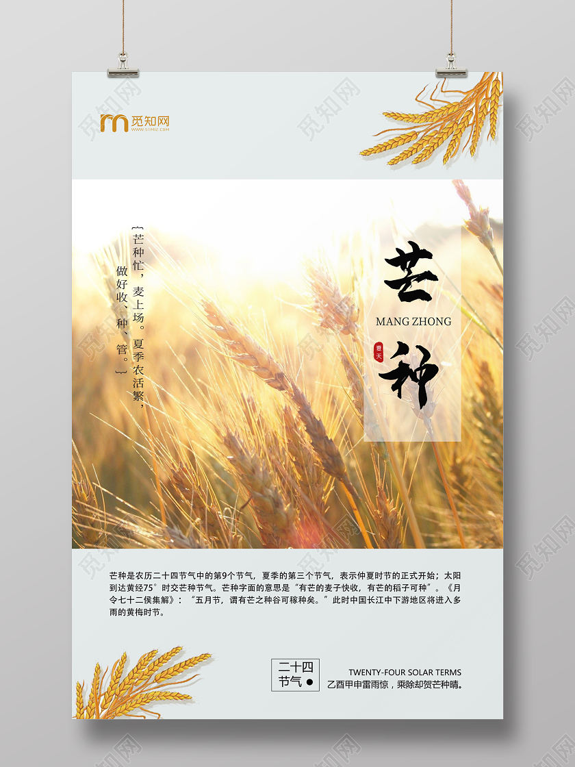 芒种24节气二十四节气企业宣传芒种海报