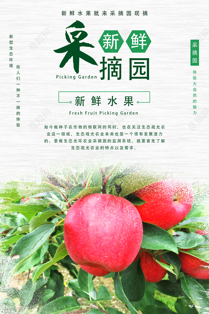 绿色简约采摘圆水果采摘海报