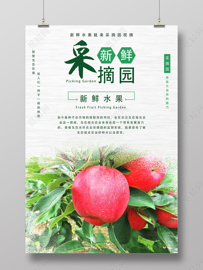 绿色简约采摘圆水果采摘海报