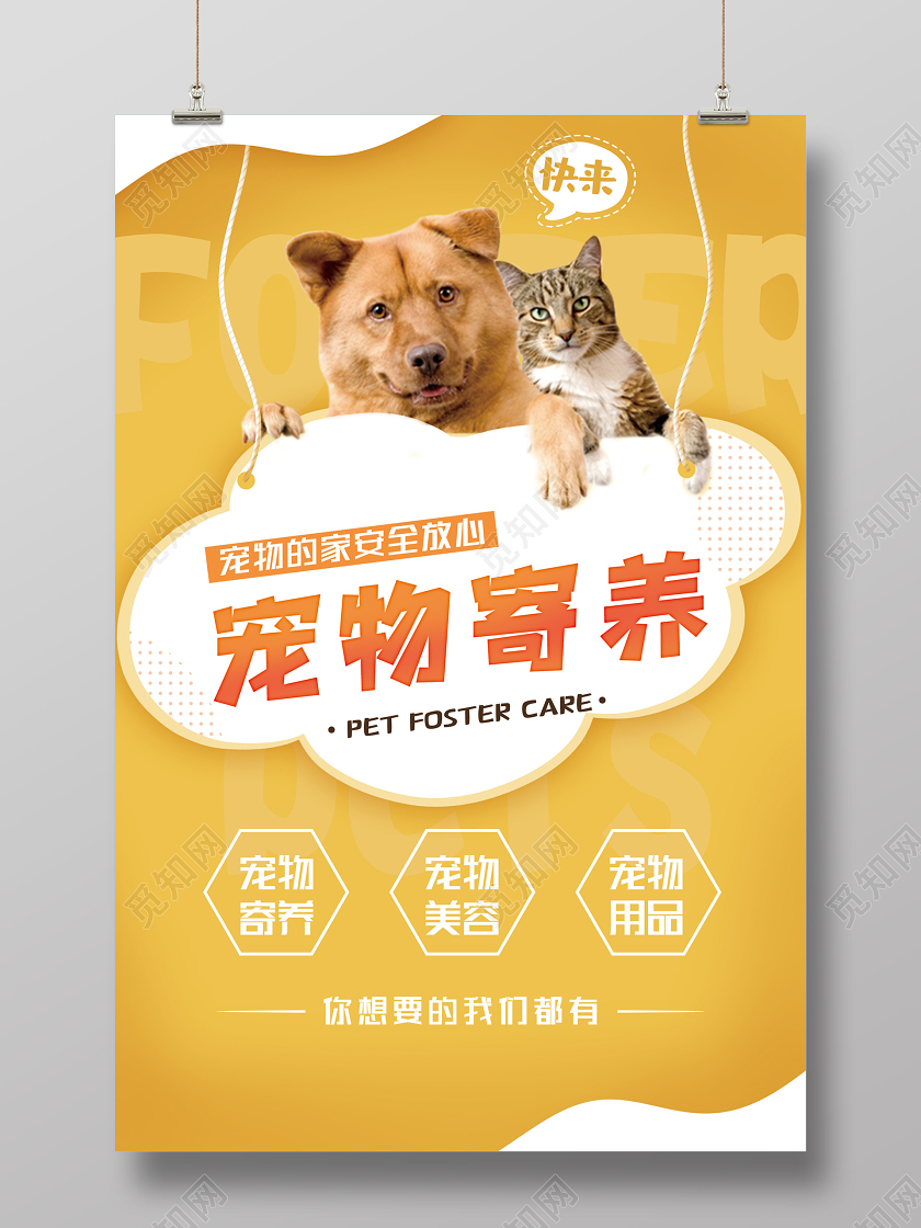 黄色简洁宠物寄养店宠物医院海报宠物店宠物海报