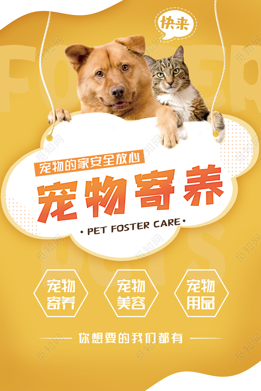 黄色简洁宠物寄养店宠物医院海报宠物店宠物海报