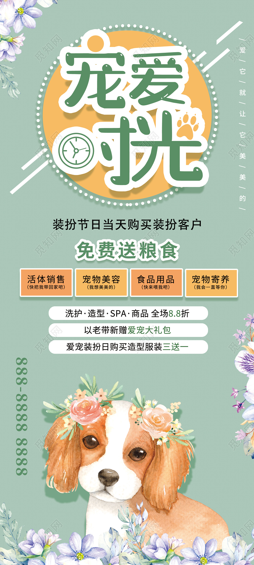 绿色插画宠爱时光宠物店医院促销展架易拉宝宠物店宠物海报