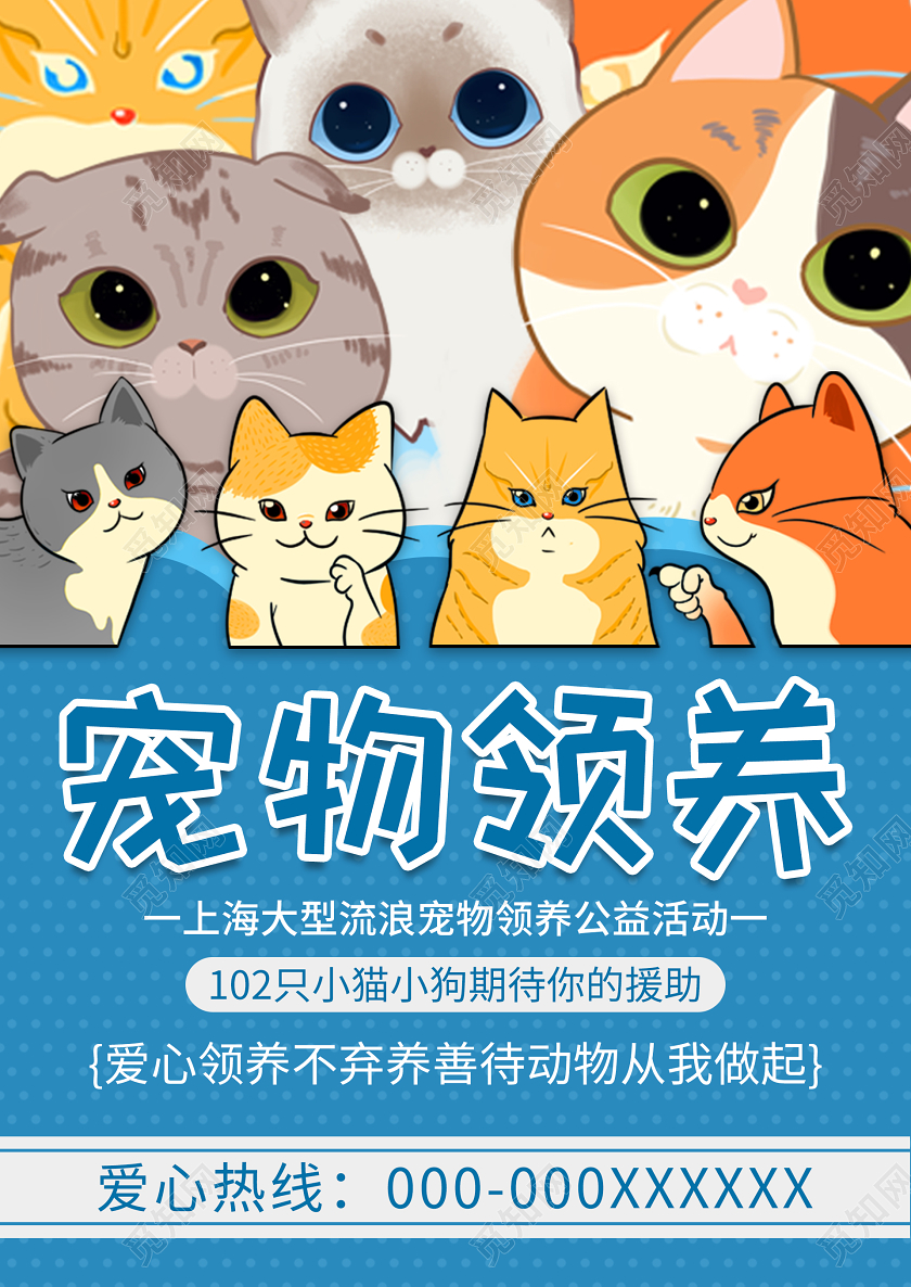 蓝色卡通宠物领养宠物店海报宣传单宠物店宠物海报
