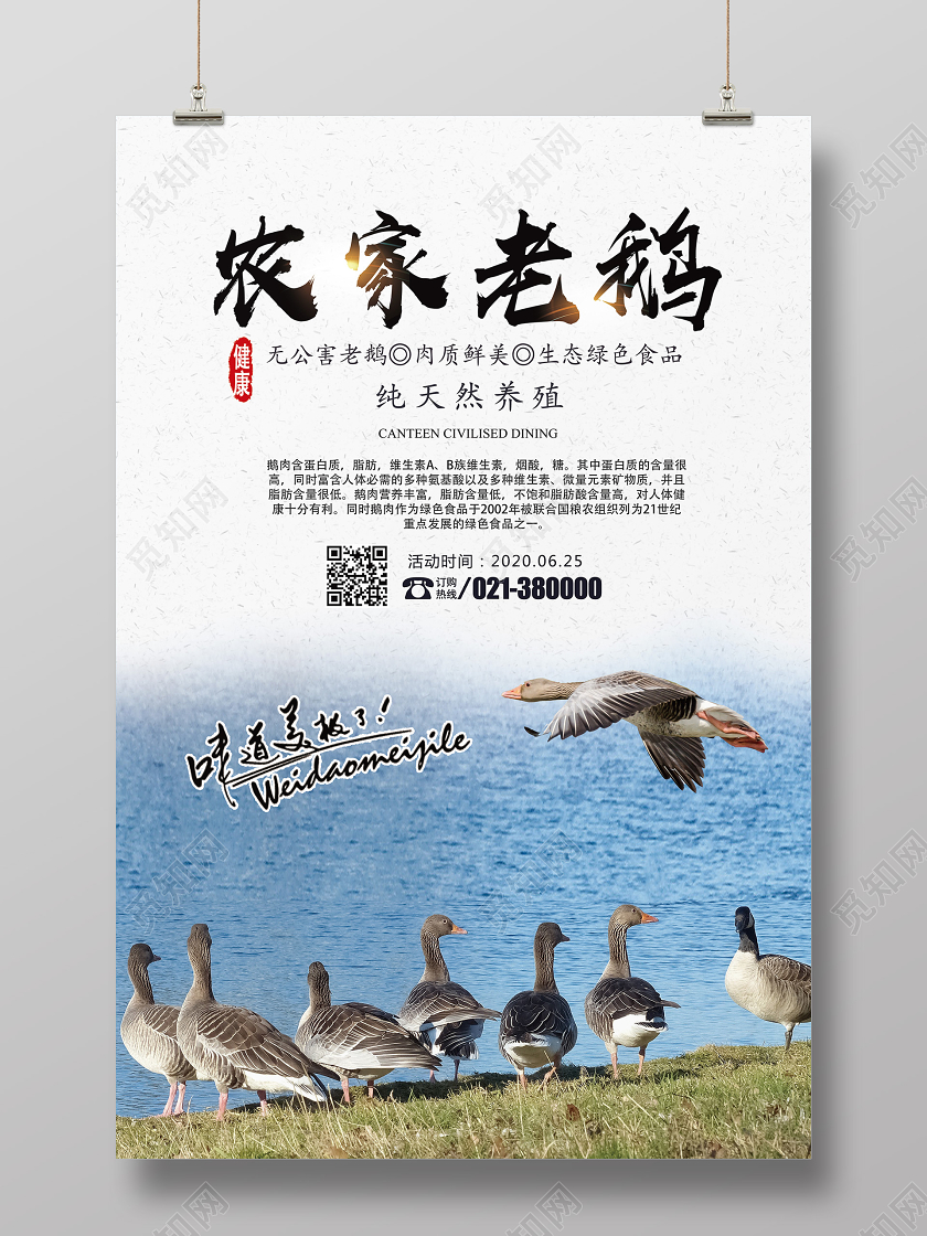 白色简约农家老鹅农产品海报
