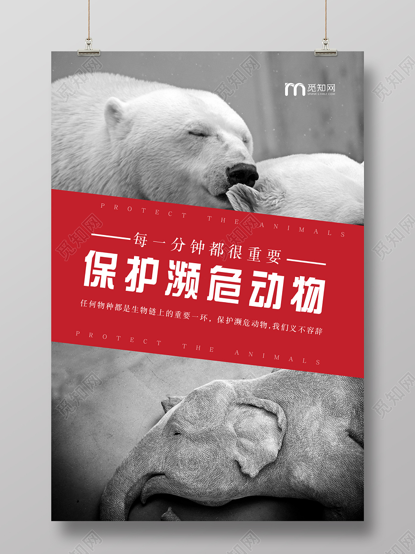 觅知网黑色个性公益海报保护濒危动物公益保护动物海报