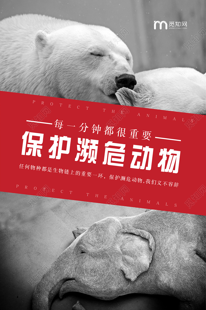 觅知网黑色个性公益海报保护濒危动物公益保护动物海报