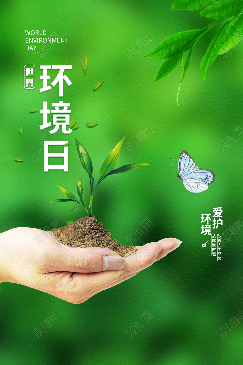 简约大气绿色保护环境环保世界环境日爱护环境宣传海报