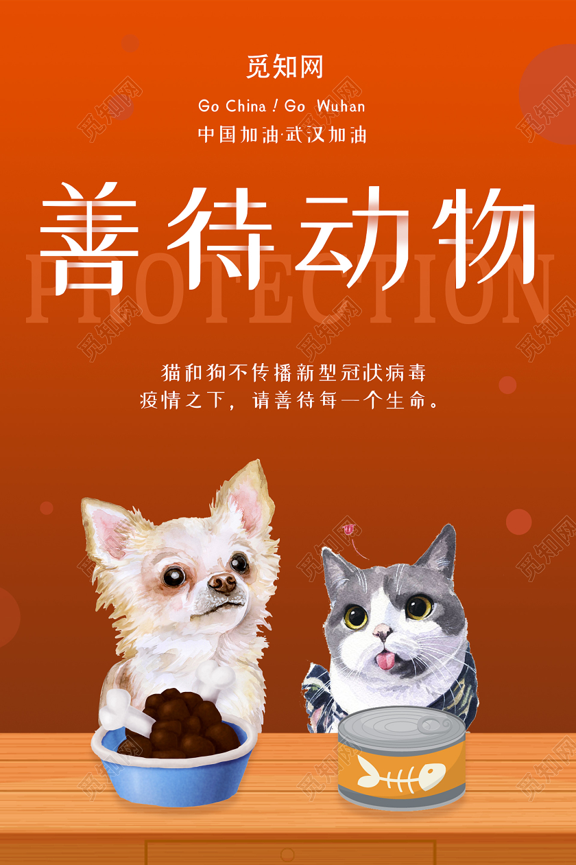 橙色大气创意善待动物海报公益保护动物海报