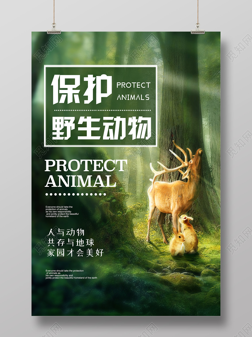 温暖小清新保护野生动物海报公益保护动物海报