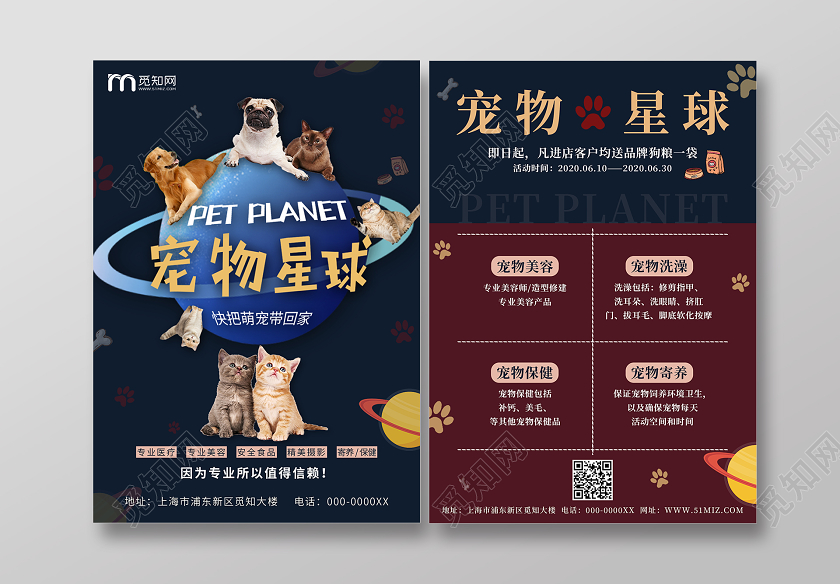 蓝色宠物星球宠物店海报宣传单宠物店宠物海报