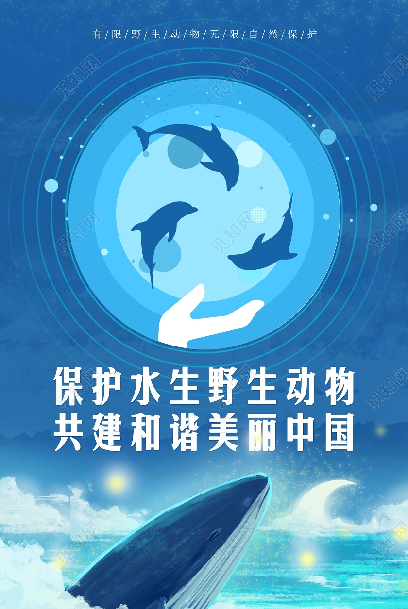 保护地球保护水生野生动物共建和谐美丽中国公益海报保护地球海报