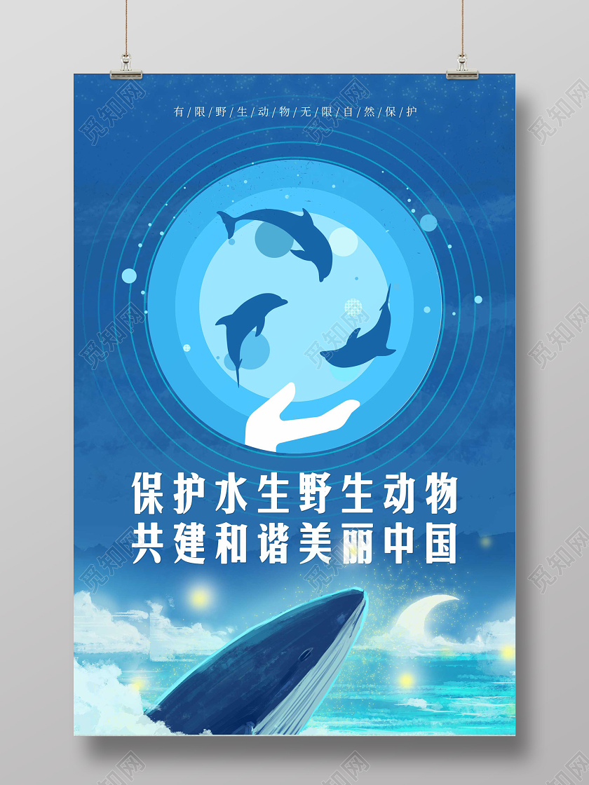 保护地球保护水生野生动物共建和谐美丽中国公益海报保护地球海报