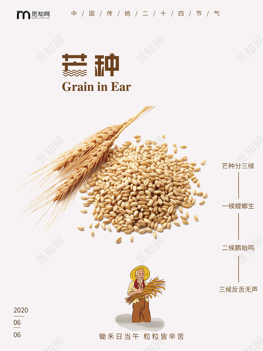 白色背景简约二十四节气芒种海报