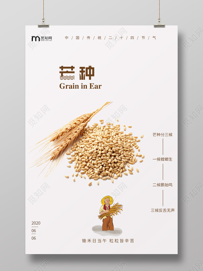 白色背景简约二十四节气芒种海报