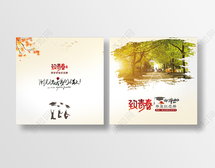 毕业季毕业简单大气浅灰毕业纪念册毕业纪念同学录宣传册封面