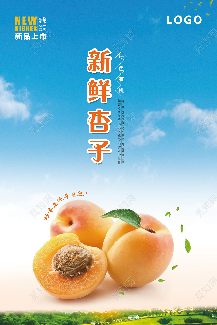 新鲜杏子采摘黄杏海报宣传单绿色无污染水果
