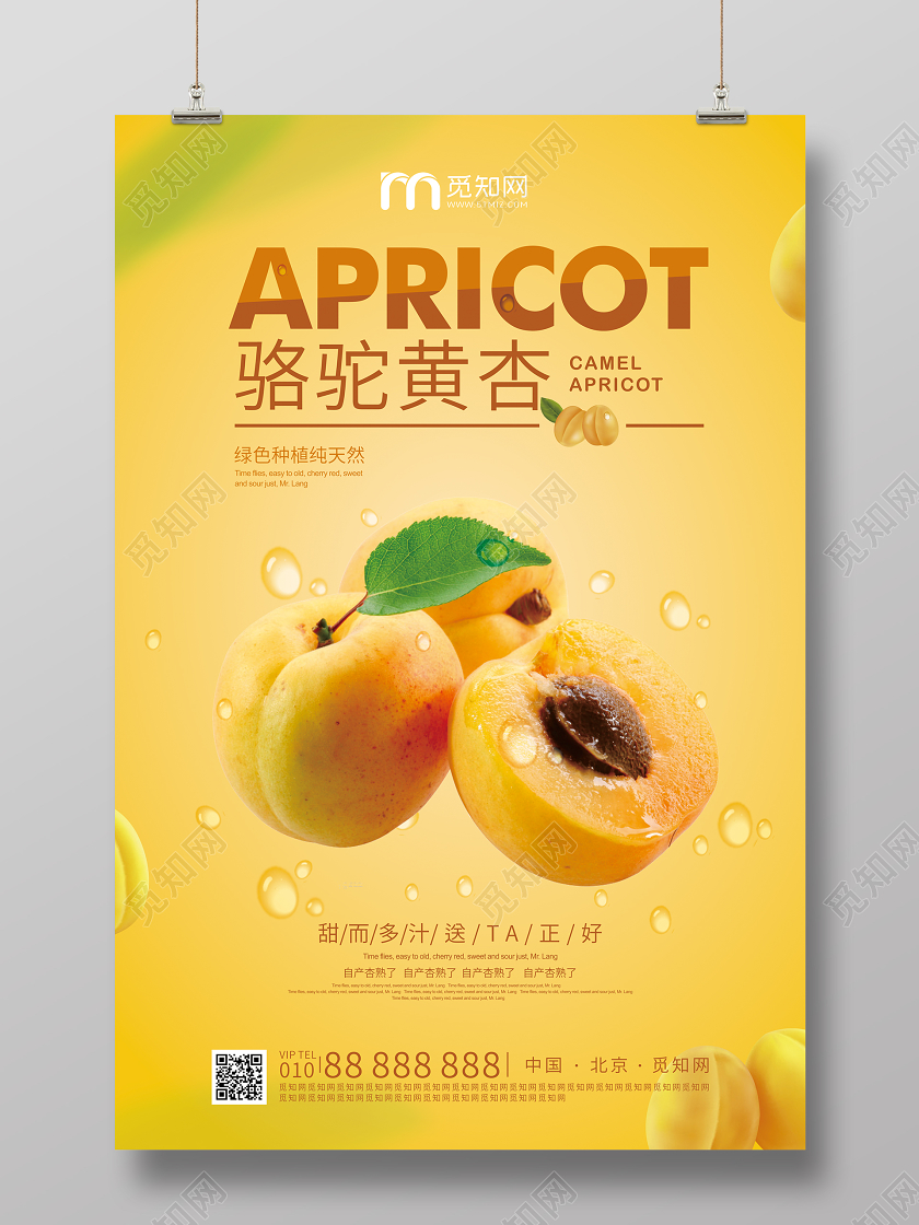 黄色渐变夏季水果杏海报
