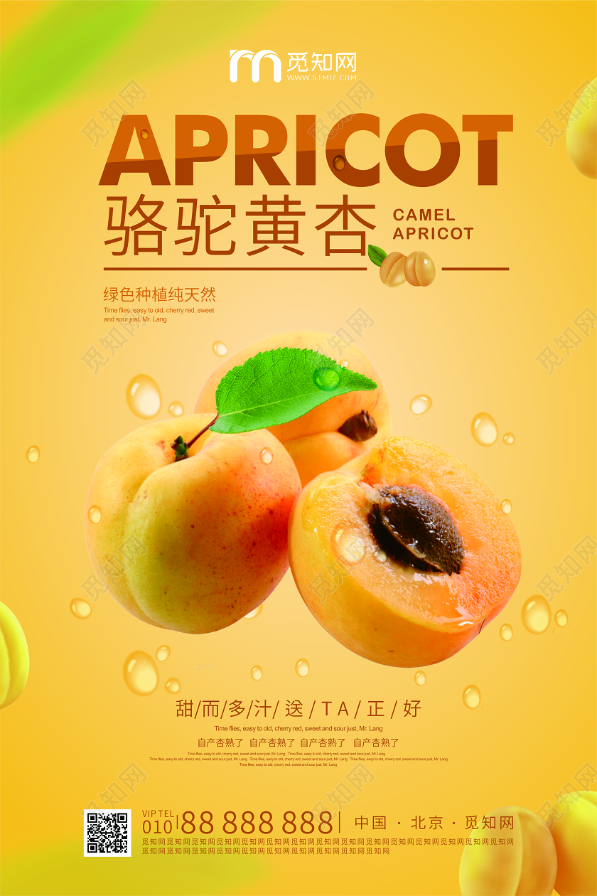 黄色渐变夏季水果杏海报