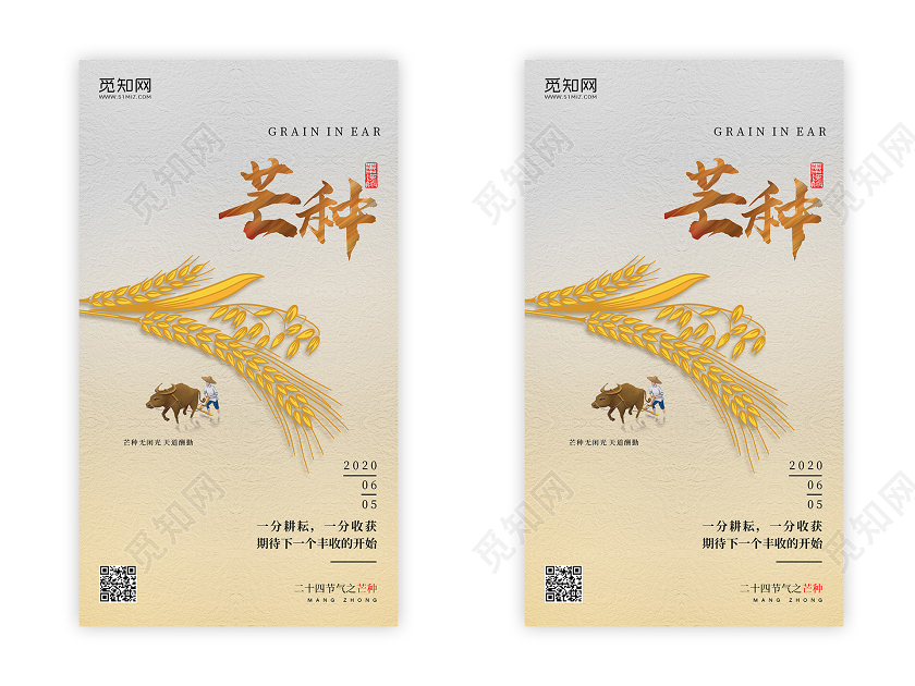 66六月六日芒种24节气二十四节气中国传统节日手机ui海报二十四节气芒种