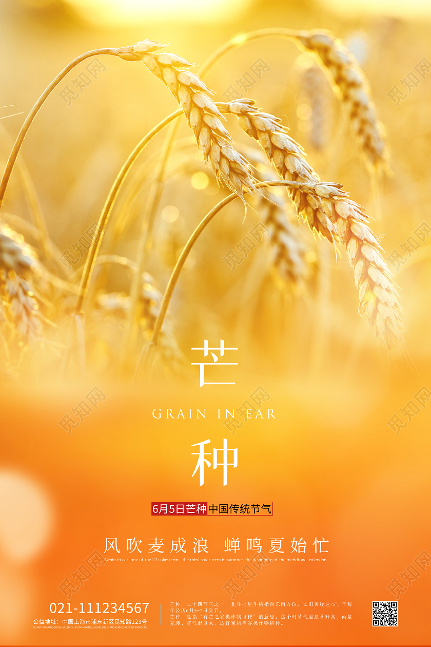 65芒种金黄色麦田简约风二十四节气海报