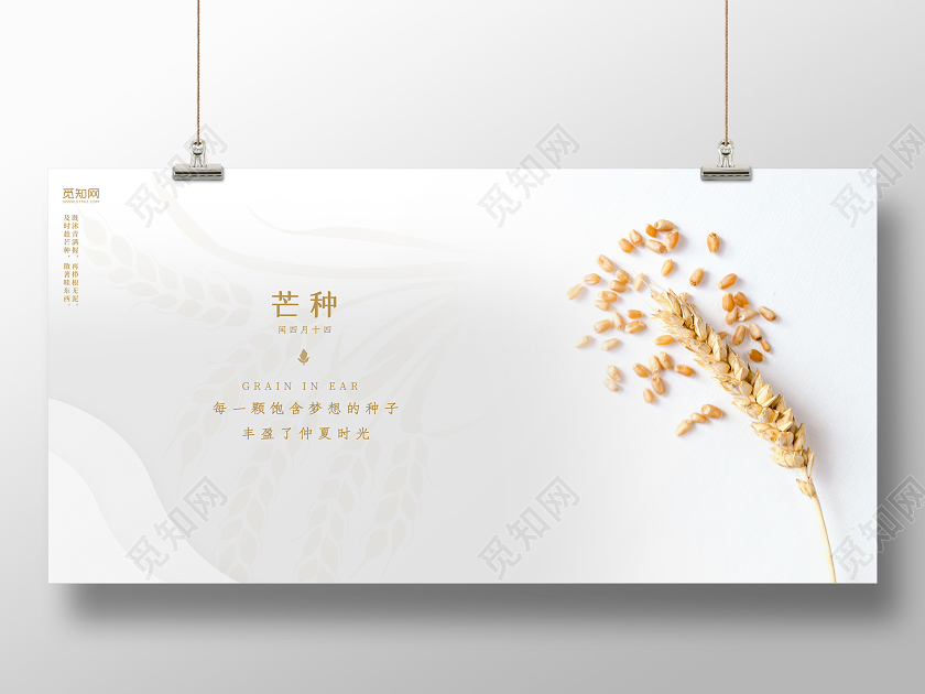 6月5日简约白色芒种二十四节气横版海报展板