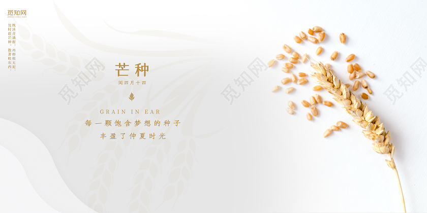 6月5日简约白色芒种二十四节气横版海报展板