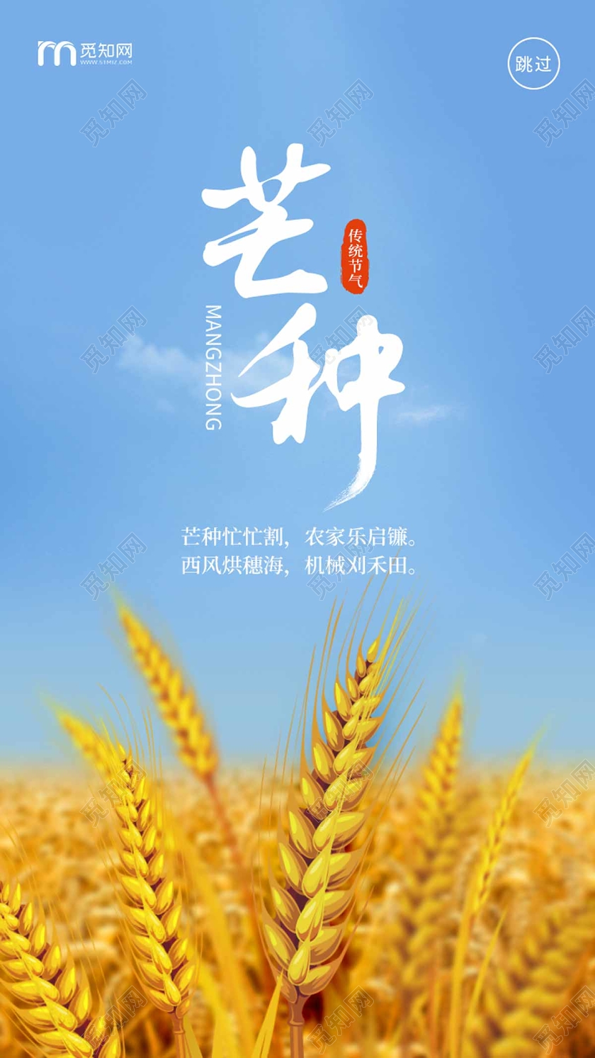 简约大气金色麦田24节气二十四节气芒种ui手机海报