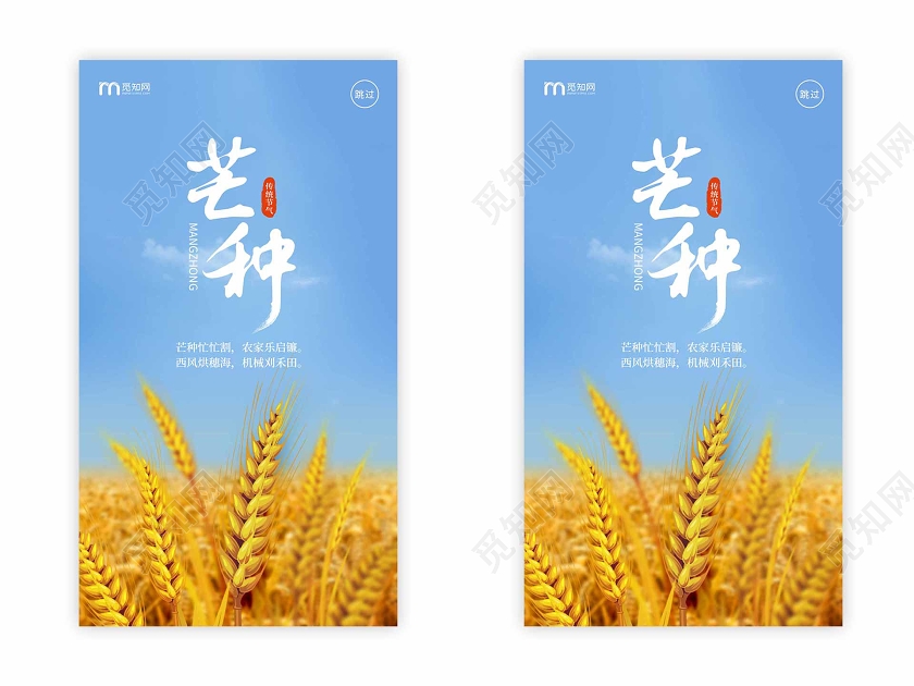 简约大气金色麦田24节气二十四节气芒种ui手机海报