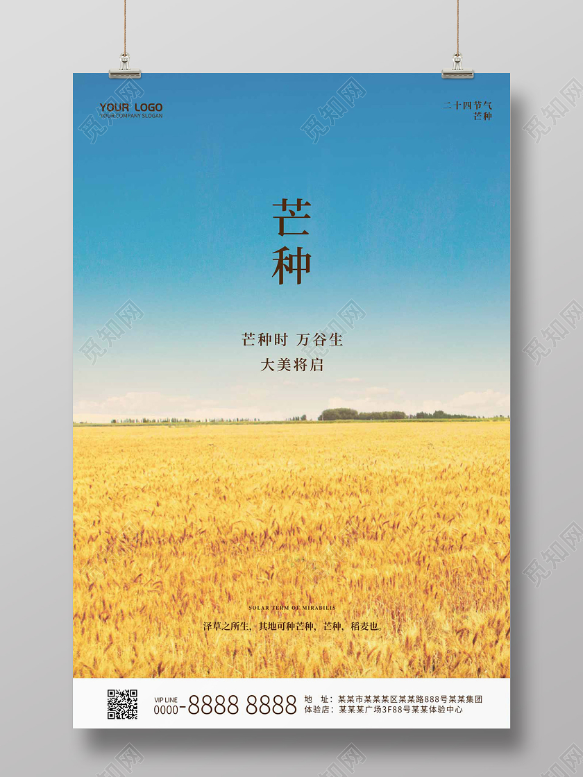 简约大气蓝天金色麦田二十四节气芒种海报