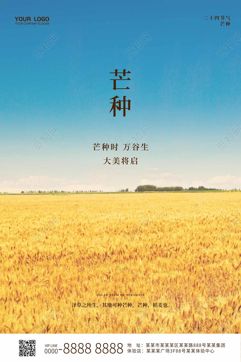 简约大气蓝天金色麦田二十四节气芒种海报