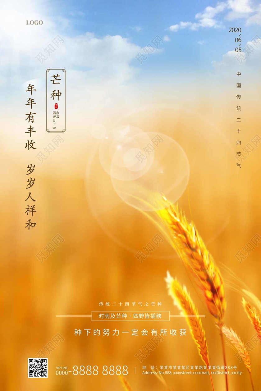 简约大气金色麦田二十四节气芒种海报