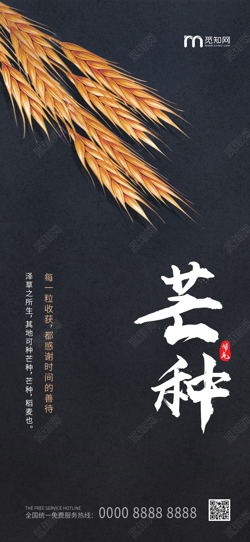 黑色简约大气麦穗二十四节气芒种手机海报