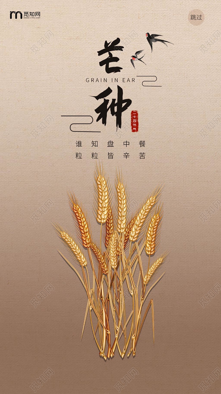 浅褐色极简中国风二十四节气之芒种手机ui海报h5二十四节气芒种
