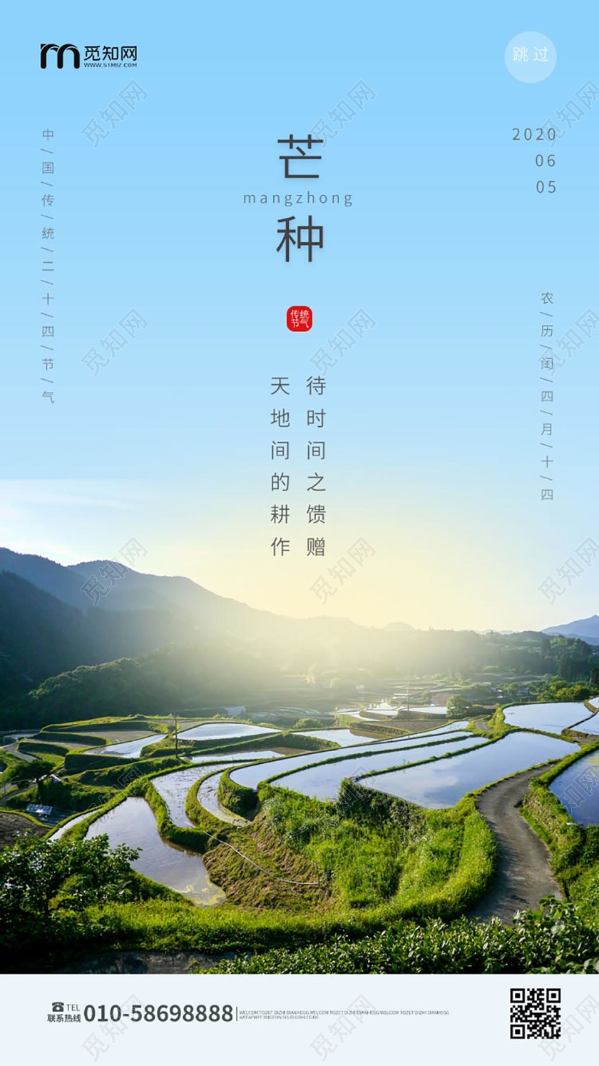 浅蓝色小清新简洁中国二十四节气之芒种手机ui海报h5设计二十四节气芒种
