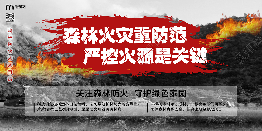 简单大气黑色森林火灾重防范严控火源是关键森林防火展板宣传