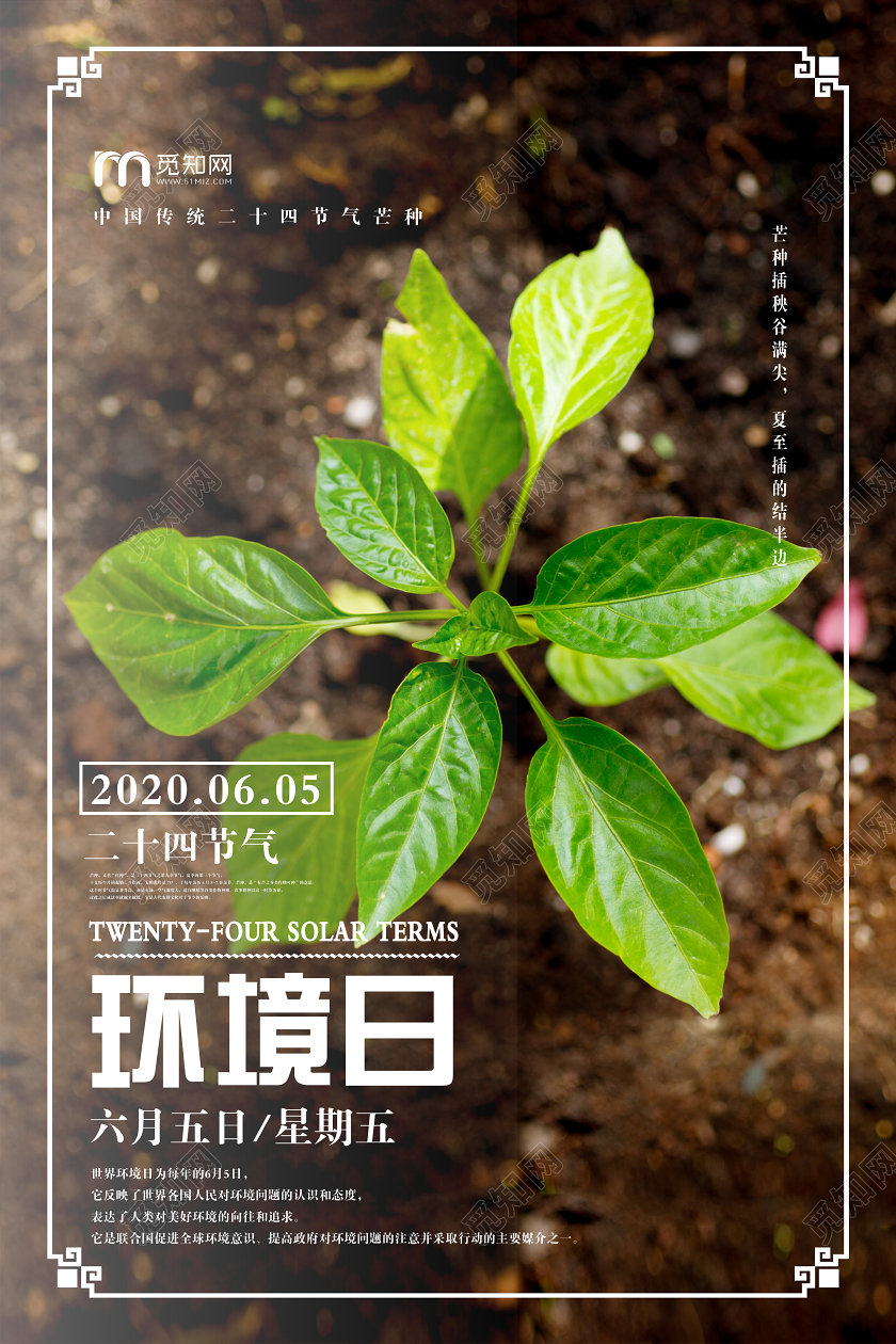 黄棕壤色简单65环境日芒种宣传海报世界环境日