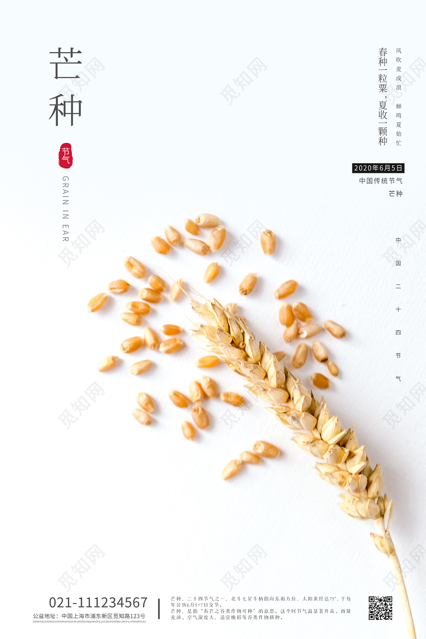二十四节气简约小清新白色背景芒种公益海报