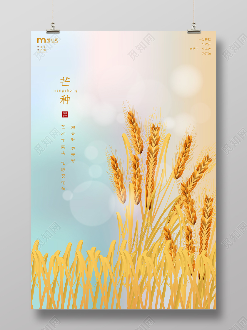 6月5日小清新风格渐变二十四节气芒种公益宣传海报