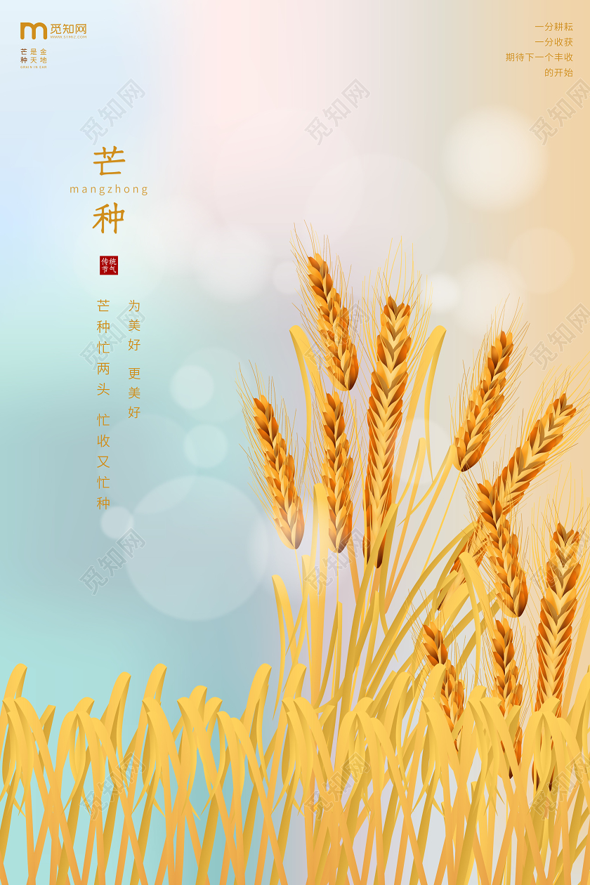 6月5日小清新风格渐变二十四节气芒种公益宣传海报