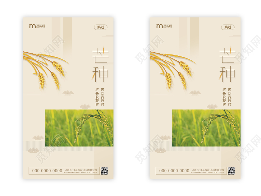 黄色简洁芒种24二十四节气UI海报